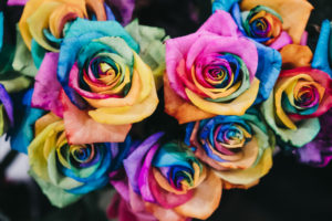 Colorful roses are shown. This reflects concepts of therapy for women in San Diego, CA.  In addition to therapy for women, Headway offers online therapy in San Diego, CA offering postpartum therapy & online pregnancy counseling in California.